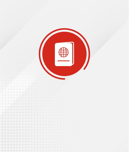 Travel Consultancy